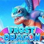 Frost Dragon